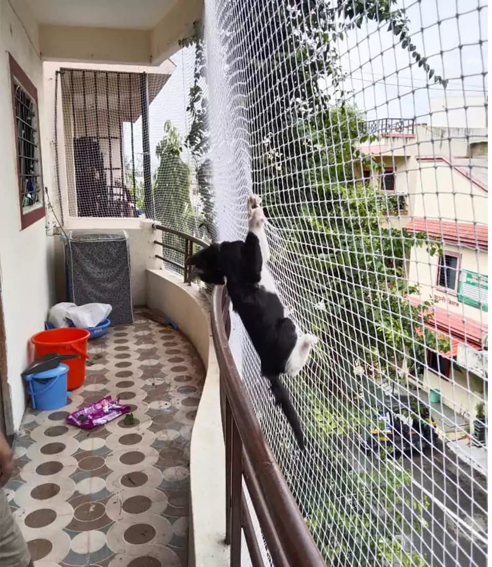 Pet Safety Nets completed installation